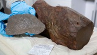 The Maryborough meteorite. Image credit: Rodney Start / Museums Victoria.