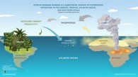 Using satellite data and models, Barkley et al identified a previously underestimated source of soluble phosphorus: biomass burning aerosol transported from southern Africa that can supply phosphorus to the Amazon, Tropical Atlantic and Southern oceans. Image credit: Scite / University of Miami.