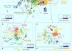 Park et al revealed large-scale associations between industries and people across the globe: (a) the large-scale organization of geo-industrial clusters in the labor flow network; each circle represents a geo-industrial cluster, with size proportional to its number of employees; the colors represent the highest-level community membership; (b-e) two examples of hierarchical sub-structures in the labor flow network are illustrated; each circle represents a firm and the bar charts show the reduction in industry and region entropy within the cluster as a proportion of the parent cluster’s entropy: (b, c) the organization of banking and financial geo-industrial clusters are affected more by industries than geography; (d, e) the geo-industrial clusters in U.S. Midwest and South region form strong geographical clusters. Image credit: Park et al, doi: 10.1038/s41467-019-11380-w.