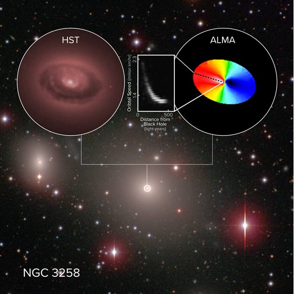 ALMA made the most precise measurements of cold gas swirling around a supermassive black hole -- the cosmic behemoth at the center of the giant elliptical galaxy NGC 3258. The multi-color ellipse reflects the motion of the gas orbiting the black hole, with blue indicating motion toward us and red motion away from us. The inset box represents how the orbital velocity changes with distance from the black hole. The material was found to rotate faster the closer in the astronomers observed to the black hole, enabling them to accurately calculate its mass: a whopping 2.25 billion times the mass of our Sun. Image credit: ALMA / ESO / NAOJ / NRAO / B. Boizelle / AUI / NSF / S. Dagnello / Hubble Space Telescope / NASA / ESA / Carnegie-Irvine Galaxy Survey.