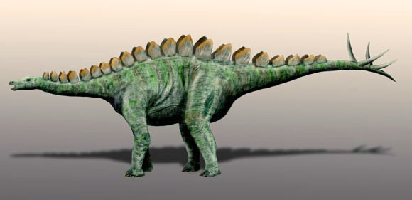 Adratiklit boulahfa is closely related to the European stegosaurs Dacentrurus and Miragaia (seen here). Image credit: Nobu Tamura, spinops.blogspot.com / CC BY 3.0.