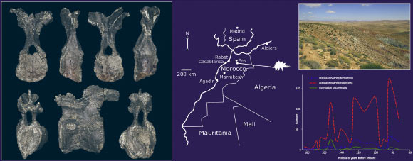 Adratiklit boulahfa is the oldest definitive stegosaur and the first from North Africa. Image credit: Maidment et al, doi: 10.1016/j.gr.2019.07.007.