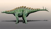 Adratiklit boulahfa is closely related to the European stegosaurs Dacentrurus and Miragaia (seen here). Image credit: Nobu Tamura, spinops.blogspot.com / CC BY 3.0.