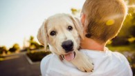 Pet owners, especially people who have dogs, are more likely to get regular exercise, eat a healthier diet and have better sugar levels in their blood. Image credit: Helena Sushitskaya.