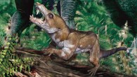 An artist’s impression of Pseudotherium argentinus. Image credit: Agencia CTyS-UNLaM.