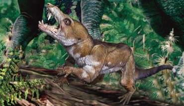 An artist’s impression of Pseudotherium argentinus. Image credit: Agencia CTyS-UNLaM.