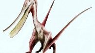 An artist’s impression of the Cretaceous pterosaur Pterodaustro. Image credit: Nobu Tamura, spinops.blogspot.com / CC BY 3.0.