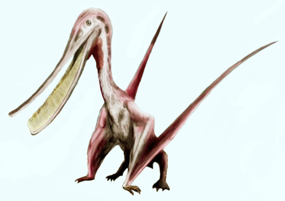 An artist’s impression of the Cretaceous pterosaur Pterodaustro. Image credit: Nobu Tamura, spinops.blogspot.com / CC BY 3.0.