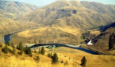 The Cooper’s Ferry site located in Idaho’s lower Salmon River canyon. White arrow points to the site. Image credit: Davis et al, doi: 10.1126/science.aax9830.