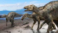 Life reconstruction of Kamuysaurus japonicus with a carcass of a mosasaur (Phosphorosaurus ponpetelegans), a sea turtle (Mesodermochelys undulates), and shells of ammonoids (Patagiosites compressus and Gaudryceras hobetsense) and bivalves (Nannonavis elongatus) on the beach. Image credit: Kobayashi et al, doi: 10.1038/s41598-019-48607-1.