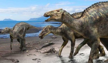Life reconstruction of Kamuysaurus japonicus with a carcass of a mosasaur (Phosphorosaurus ponpetelegans), a sea turtle (Mesodermochelys undulates), and shells of ammonoids (Patagiosites compressus and Gaudryceras hobetsense) and bivalves (Nannonavis elongatus) on the beach. Image credit: Kobayashi et al, doi: 10.1038/s41598-019-48607-1.