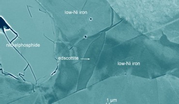 Scanning electron microscopy image (colorized) showing edscottite in the polished Wedderburn section from the UCLA Meteorite Collection. Image credit: Ma & Rubin, doi: 10.2138/am-2019-7102.