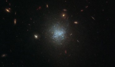 This Hubble image shows the dwarf galaxy UGC 695. The picture is made up of observations from Hubble’s Wide Field Camera 3 (WFC3) in the infrared and optical parts of the spectrum. Three filters were used to sample various wavelengths. The color results from assigning different hues to each monochromatic image associated with an individual filter. Image credit: NASA / ESA / Hubble / D. Calzetti.