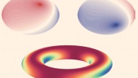 To confirm the presence of non-Abelian gauge fields, Yang et al produced interference patterns (top) and a Wilson loop (bottom). Image credit: Yang et al, doi: 10.1126/science.aay3183.