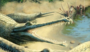 Life reconstruction of Mystriosaurus laurillardi. Image credit: Julia Beier.