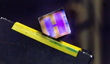 Organic solar cell. Image credit: Thor Balkhed.