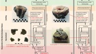 Main features of the organization of production and detailed chaîne opératoires for the copper industry in Edom during the Late Bronze and early Iron Ages. Image credit: Ben-Yosef et al, doi: 10.1371/journal.pone.0221967.