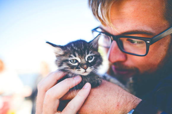 Pet cats show a similar capacity for the formation of secure and insecure attachments towards human caregivers previously demonstrated in children and dogs. Image credit: Pexels.