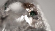 Broken and rounded dodecahedral diamond from the Koffiefontein kimberlite pipe that hosted goldschmidtite; the mineral is seen in green and radiation damage of the diamond can be seen in the brown regions. Image credit: Meyer et al, doi: 10.2138/am-2019-6937.