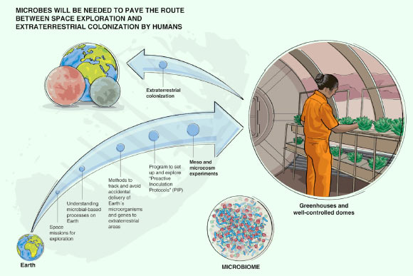 Potential trajectory for how terraforming, PIPs and other related microbiologically focused methods can be applied in a concerted effort to colonize the Solar System. Image credit: Lopez et al, doi: 10.1093/femsec/fiz127.