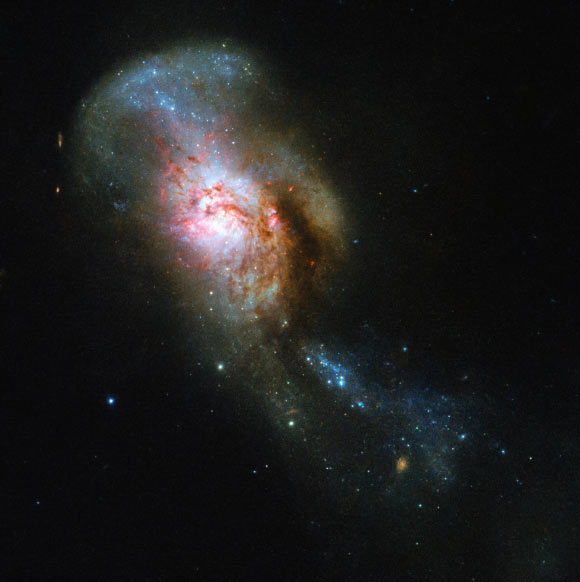This Hubble image shows NGC 4194, an ongoing cosmic collision between two galaxies. This picture was snapped by Hubble’s Wide Field Camera 3 (WFC3). The image was made through four filters. The color results from assigning different hues to each monochromatic image associated with an individual filter. Image credit: NASA / ESA / Hubble / A. Adamo.