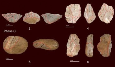 Cores from Phase D (48,000-34,000 years ago) and Phase C (13,000-12,000 years ago) of Fa-Hien Lena Cave, Sri Lanka: bipolar core (4, 5, 6), bipolar orthogonal core (1, 2, 7, 8), unidirectional abrupt core (3). Image credit: Wedage et al, doi: 10.1371/journal.pone.0222606.