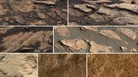 Lithology of sulfate enrichments in Gale Crater, Mars: (a) magnesium sulfate-enriched lithology within multiple parallel horizons (red arrows) on a large block of bedrock; (b) calcium sulfate enrichments as erosion-resistant horizons (red arrows) in mudstone; (c) multiple horizons (red arrows) where euhedral white crystals and heterogeneous calcium sulfate and magnesium sulfate enrichments were observed; (d) exposed blocks at Old Soaker with desiccation cracks; circles represent the locations of Curiosity’s ChemCam targets with calcium sulfate enrichments (red) and without (blue); (e, f) close-up images of a mudstone and a sandstone enriched in calcium sulfate; (g) close-up image of bedrock with white euhedral crystals along with empty casts/moulds. Image credit: Rapin et al, doi: 10.1038/s41561-019-0458-8.