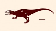 Skeletal reconstruction of Siamraptor suwati. Scale bar - 1 m. Image credit: Chokchaloemwong et al, doi: 10.1371/journal.pone.0222489.