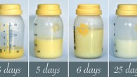 Human breast milk. Image credit: Amada44 / CC BY-SA 3.0.