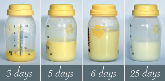 Human breast milk. Image credit: Amada44 / CC BY-SA 3.0.