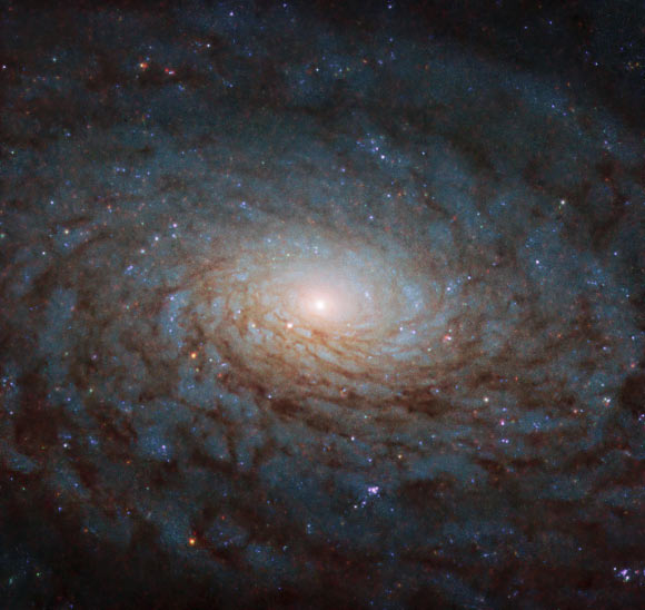 This Hubble image reveals a detailed view of part of the disk of the spiral galaxy NGC 4380. The image is made up of observations from Hubble’s Wide Field Camera 3 (WFC3) in the infrared and optical parts of the spectrum. It is based on data obtained through three filters. The color results from assigning different hues to each monochromatic image associated with an individual filter. Image credit: NASA / ESA / Hubble / P. Erwin.