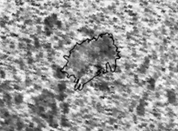 Ovda Fluctus region (outlined), in the meter-scale roughness map from NASA’s Magellan Venus orbiter Mission; darker tone is lower roughness; the flow is distinctly smoother than the surrounding tessera. Image spans 3-10 S, 91-100 E (950 km across); north to top. Image credit: Wroblewski et al.