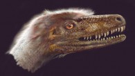 Saurornitholestes langstoni. Image credit: Jan Sovak.