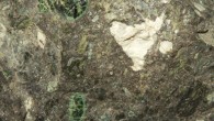 Kimberlite from a mine in the United States. Image credit: Woudloper / CC BY-SA 1.0.