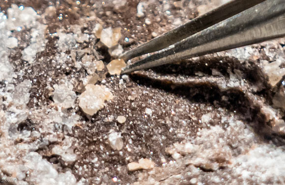 Tiny calcite crystals precipitated in response to microbial activity in the Siljan impact crater. Image credit: Henrik Drake.