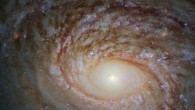 This image snapped by the NASA/ESA Hubble Space Telescope reveals a detailed view of the central part of the unbarred spiral galaxy NGC 772. The image is made up of observations from Hubble’s Wide Field Camera 3 (WFC3) in the infrared and optical parts of the spectrum. Three filters were used to sample various wavelengths. The color results from assigning different hues to each monochromatic image associated with an individual filter. Image credit: NASA / ESA / Hubble / A. Seth et al.