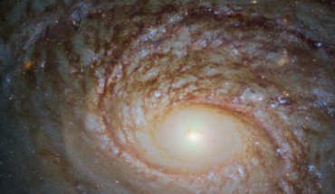 This image snapped by the NASA/ESA Hubble Space Telescope reveals a detailed view of the central part of the unbarred spiral galaxy NGC 772. The image is made up of observations from Hubble’s Wide Field Camera 3 (WFC3) in the infrared and optical parts of the spectrum. Three filters were used to sample various wavelengths. The color results from assigning different hues to each monochromatic image associated with an individual filter. Image credit: NASA / ESA / Hubble / A. Seth et al.