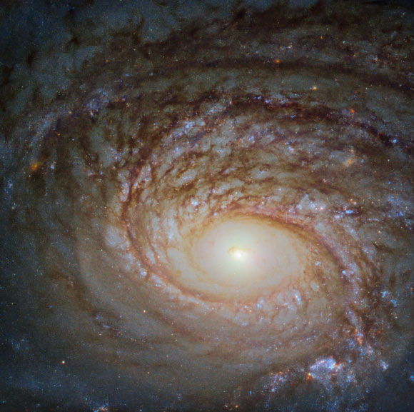 This image snapped by the NASA/ESA Hubble Space Telescope reveals a detailed view of the central part of the unbarred spiral galaxy NGC 772. The image is made up of observations from Hubble’s Wide Field Camera 3 (WFC3) in the infrared and optical parts of the spectrum. Three filters were used to sample various wavelengths. The color results from assigning different hues to each monochromatic image associated with an individual filter. Image credit: NASA / ESA / Hubble / A. Seth et al.
