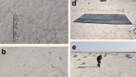 Photographs of the study site at the White Sands National Monument, New Mexico: (a) ‘ghost tracks’ - the surface expression of the tracks is poor as can be seen from the image and they can only be seen under specific moisture and salt conditions; scale bar - 500 mm from target to target; (b) tracks at the study site excavated to reveal both human and mammoth tracks; (c) ground-penetrating radar (GPR) equipment used in this study; (d) gridded foam mats used to protect the surface during the GPR survey; (e) excavated human tracks at the study site. Image credit: Urban et al, doi: 10.1038/s41598-019-52996-8.