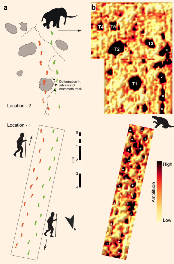 The fossilized footprints at the White Sands National Monument, New Mexico: (a) the principal tracks and trackways observed at the study site which are split into Location-1 and Location-2 (shown in true spatial relationship); (b) GPR amplitude slice; human prints that were excavated and used for analysis are indicated with (+) while an unexcavated sloth trackway (identified in subsequent fieldwork) is indicated with (x). Image credit: Urban et al, doi: 10.1038/s41598-019-52996-8.
