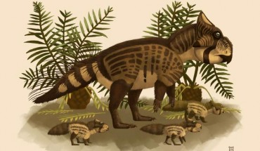 An artist’s impression of Ferrisaurus sustutensis. Image credit: Raven Amos / Royal BC Museum.