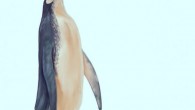 A reconstruction of the Kawhia giant penguin. Image credit: Simone Giovanardi.