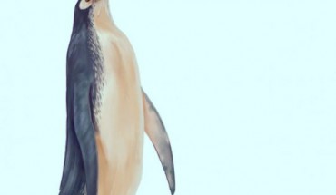 A reconstruction of the Kawhia giant penguin. Image credit: Simone Giovanardi.