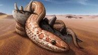 Najash rionegrina. Image credit: Raúl O. Gómez, Universidad de Buenos Aires.