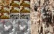 NASA Photos Show Insect- and Reptile-Like Life Forms on Mars ...