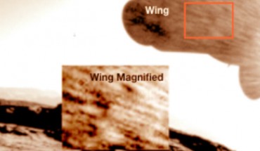 Wing of Mars insect caught on the rover; inset: enlarged portion of wing. Image credit: William Romoser, doi: 10.13140/RG.2.2.12363.95520.
