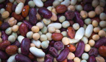 Dietary pulses with or without other legumes are associated with reduced cardiovascular disease incidence with low certainty and reduced coronary heart disease, hypertension, and obesity incidence with very low certainty. Imager credit: Niek Verlaan.