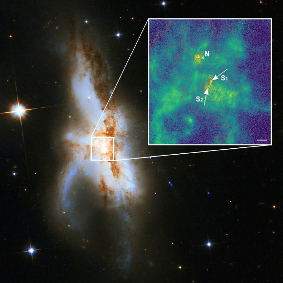 NGC 6240 harbors three supermassive black holes at its core: the northern black hole (N) is active and was known before; the zoomed-in new high-spatial resolution image shows that the southern component consists of two supermassive black holes (S1 and S2); the green color indicates the distribution of gas ionized by radiation surrounding the black holes; the red lines show the contours of the starlight from the galaxy and the length of the white bar corresponds to 1,000 light years. Image credit: P. Weilbacher, Leibniz Institute for Astrophysics Potsdam / NASA / ESA / Hubble Heritage / STScI / AURA / Hubble Collaboration / A. Evans, University of Virginia, Charlottesville / NRAO / Stony Brook University.