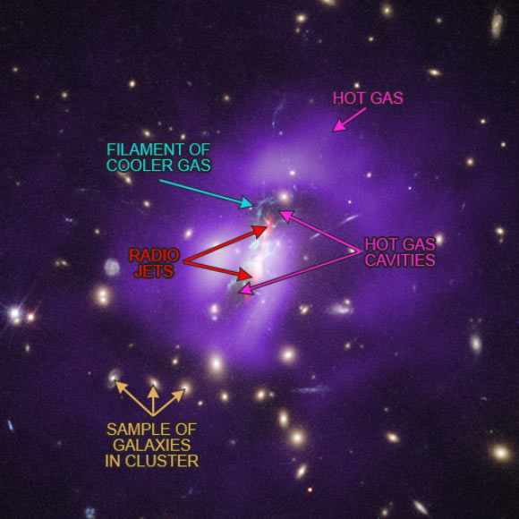 Combined X-ray, optical and radio image reveals the mechanism allowing rapid star formation at the core of the Phoenix Cluster. Image credit: NASA / CXC / MIT / M. McDonald et al / NRAO / AUI / NSF / STScI.