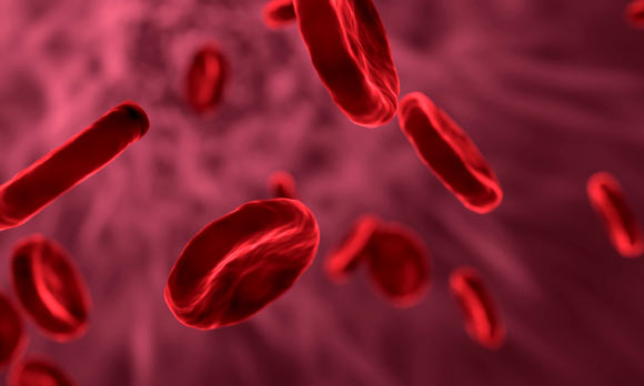 Chen & van Breemen found drugs in blood supply used for research. Image credit: Allinonemovie.